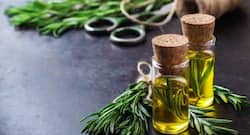 ब्रेन फंक्शन को बूस्ट करती है रोजमेरी, नियमित सेवन से दूर होती हैं कई अन्य बीमारियां