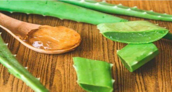 alovera-gel and healthy hair