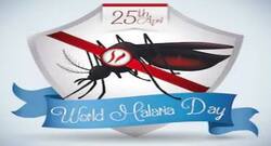 विश्‍व मलेरिया दिवस 2019 : मेडिके‍टेेड मच्‍छर करेंगे मलेरिया से मुकाबला