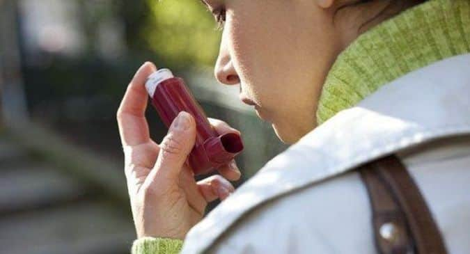 Grass pollen can help predict asthma, hay fever: Research |  