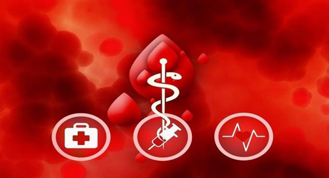 World Malaria Day 2019: 6 things that attract mosquitoes
