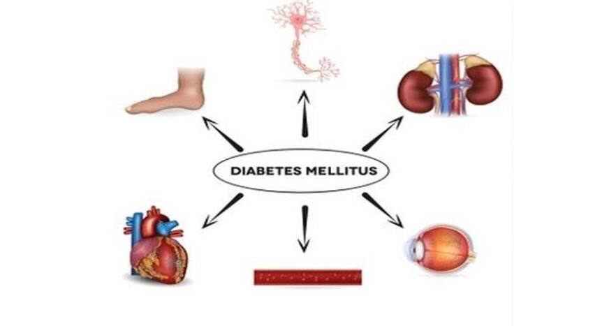 Here is how you can prevent diabetes mellitus | TheHealthSite.com