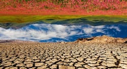 Allergy season worsens with changing climate: Study