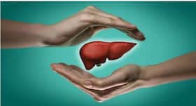 वर्ल्ड लीवर डे 2019 : लीवर के लिए खतरनाक हो सकती हैं आपकी ये 7 आदतें वर्ल्ड लीवर डे 2019 : लीवर के लिए खतरनाक हो सकती हैं आपकी ये 7 आदतें