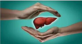 वर्ल्ड लीवर डे 2019 :  लीवर के लिए खतरनाक हो सकती हैं आपकी ये 7 आदतें