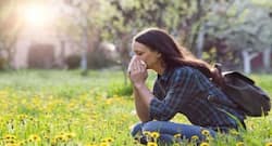 The allergy season is here: Protect yourself from pollens