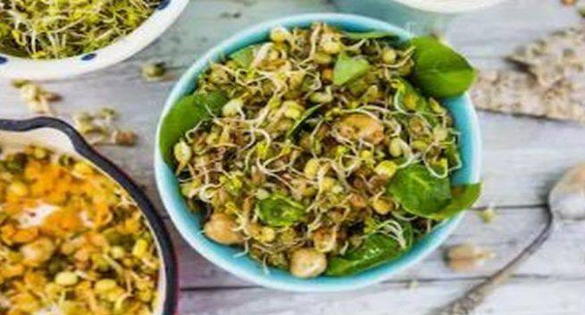 sprouts