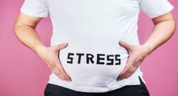 Eating high-calorie food in stress can lead to significant weight gain: Study