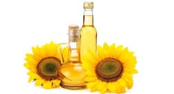 6 reasons that make sunflower oil, the healthiest option