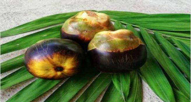 tadgola health benefits 1