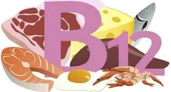 6 foods to boost your vitamin B12 levels