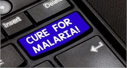 विश्व मलेरिया दिवस 2019 : मलेरिया में क्या खाएं और क्या ना खाएं, इसका रखें खास ध्यान