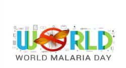 World Malaria Day 2019: Fragrances that drive mosquitoes away