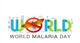 World Malaria Day 2019: Fragrances that drive mosquitoes away World Malaria Day 2019: Fragrances that drive mosquitoes away