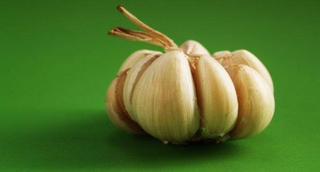 Diabetes Control with Garlic