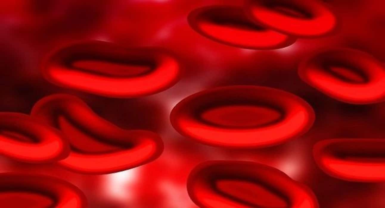 Here are the 5 most common blood disorders you should know about