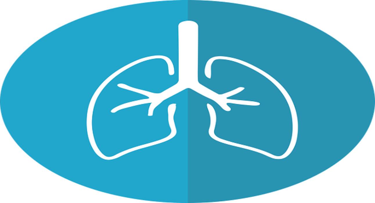 Here are the possible health complications of air pollution