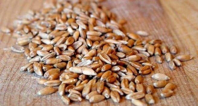 Spelt