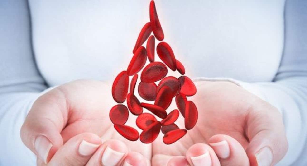 Here are the 5 most common blood disorders you should know about