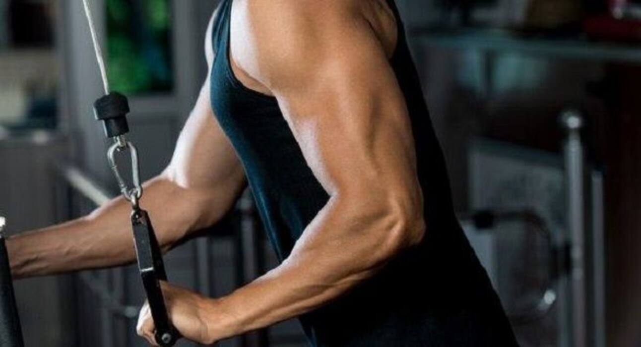 Morning workouts give you stronger muscles