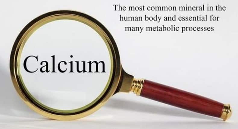 5 nutrients that are missing from a vegan diet