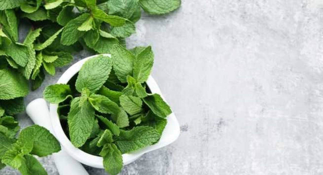 कमर और पीठ दर्द से पाना है छुटकारा तो खाएं ये सुपरफूड्स