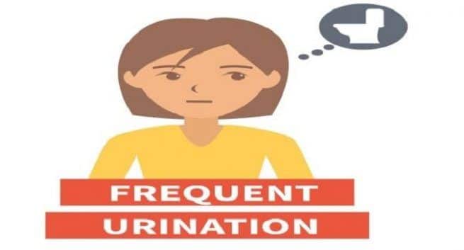 frequent-urination, multiple sclerosis