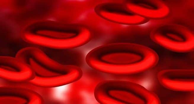link-between-blood-platelets-and-protein