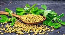 बालों का झड़ना रोके मेथी के दाने, जानें इस्तेमाल करने के ये 6 तरीके