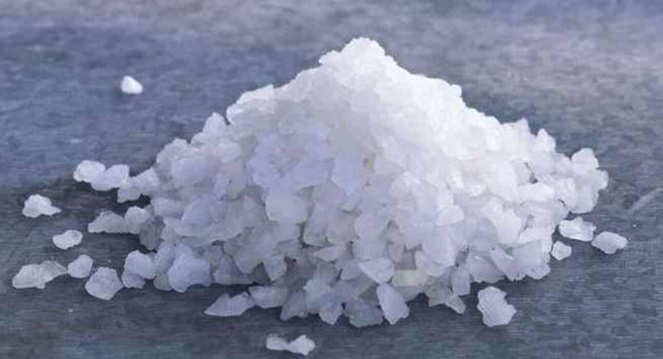 दाद से हैं परेशान, तो ये 6 घरेलू नुस्खे आएंगे आपके काम