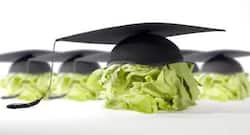 रहना है मेंटली स्ट्रॉन्ग , तो डायट में शामिल करें ये पांच सुपरफूड