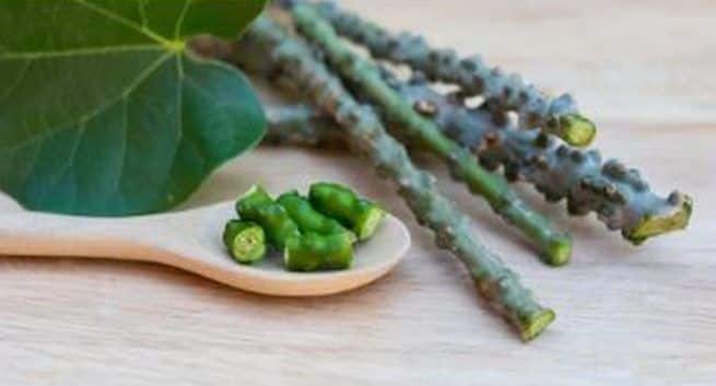 Home-remedies-dengue
