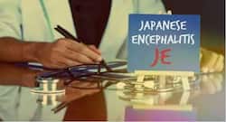 मुजफ्फरपुर (बिहार) में एक्यूट एन्सेफलाइटिस सिंड्रोम से 7 बच्चों की मौत, जानें क्या है एईएस और जापानी एन्सेफलाइटिस