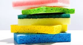 Kitchen sponge viruses can kill bacteria that antibiotics cannot: Report