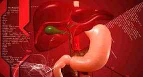 Liver diseases: All you need to know about them