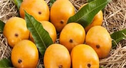 5 summer fruits to beat the heat and stay healthy this season