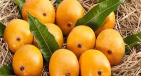 Eating mangoes may help postmenopausal women reduce facial wrinkles