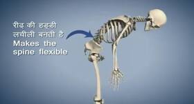 इस योगासन से ठीक होगी रीढ़ के हड्डी की तकलीफ, पाचन भी रहेगा ठीक इस योगासन से ठीक होगी रीढ़ के हड्डी की तकलीफ, पाचन भी रहेगा ठीक
