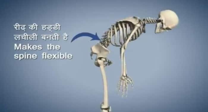 इस योगासन से ठीक होगी रीढ़ के हड्डी की तकलीफ, पाचन भी रहेगा ठीक