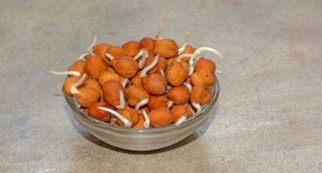 Sprouted gram for healthy breakfast सुबह का नाश्ता हेल्दी