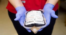 Who Is A Universal Blood Donor? Myths And Facts About Blood Donation