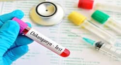 New synthetic vaccine developed to combat Chikungunya