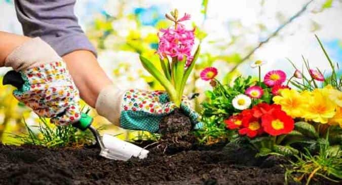 Want to connect better with others? Just start gardening