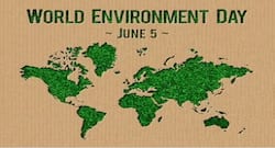 वायु प्रदूषण के दुष्प्रभाव को कम करने वाले हर्ब्स