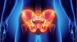 Are Vegetarian Women More Prone To Hip Fractures? Research Reveals