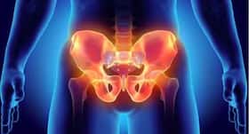 Are Vegetarian Women More Prone To Hip Fractures? Research Reveals Are Vegetarian Women More Prone To Hip Fractures? Research Reveals