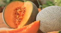 खरबूजे के बीज है बड़े काम के, जानें इनके स्‍वास्‍थ्‍य लाभ