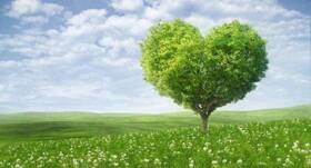 Cardiovascular diseases: Your heart doesn't react well to alienation from nature