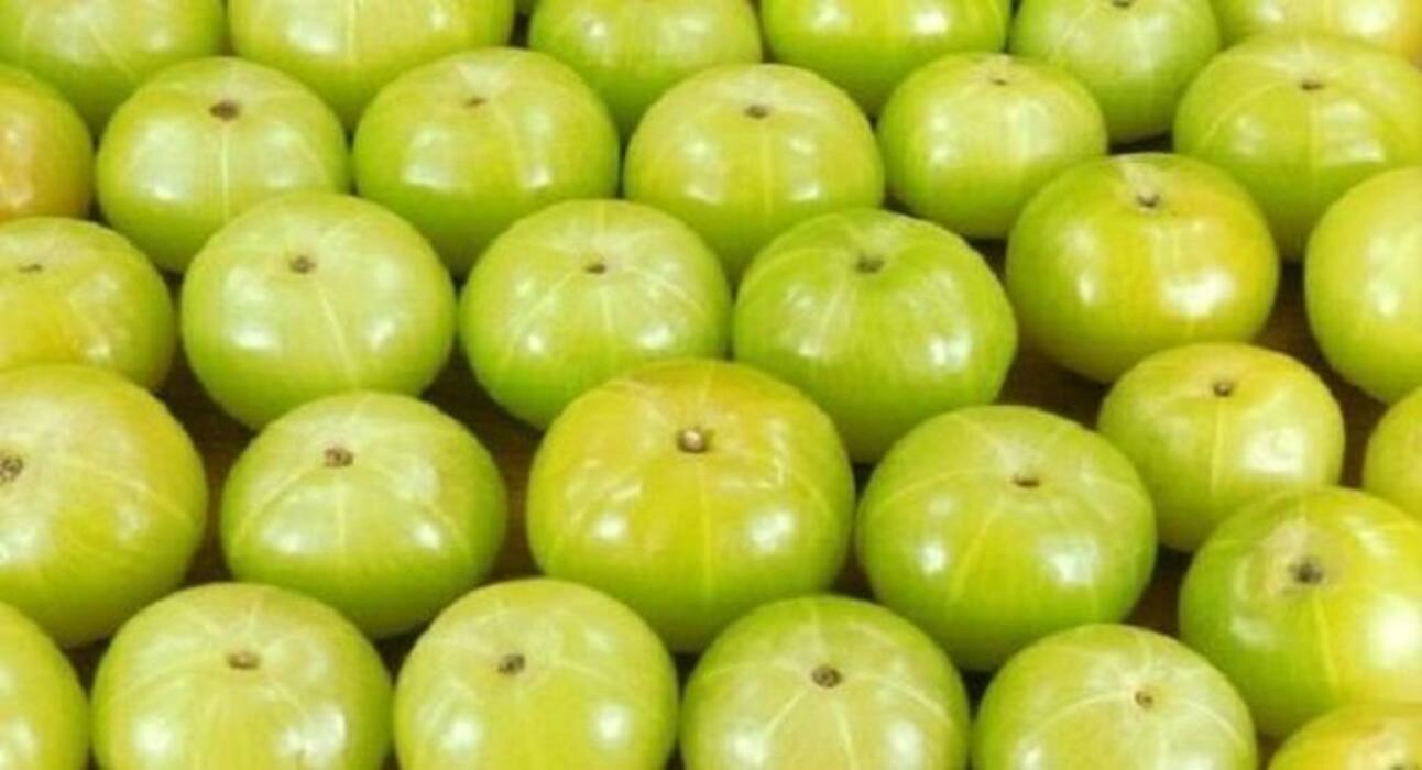 Dengue fever: These fruits can help you boost your blood platelet count