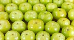 5 reasons why you must include amla in your diet